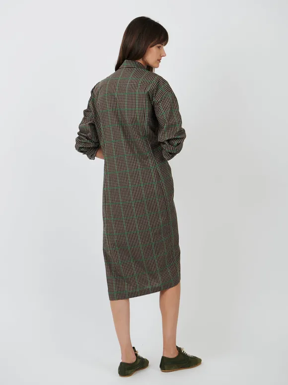 Delicks Dress in Green