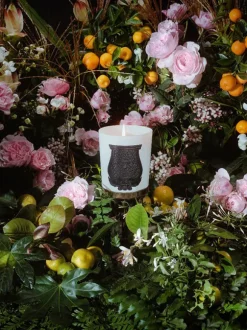 Giambattista Valli Rose Poivree Classic Candle 270g