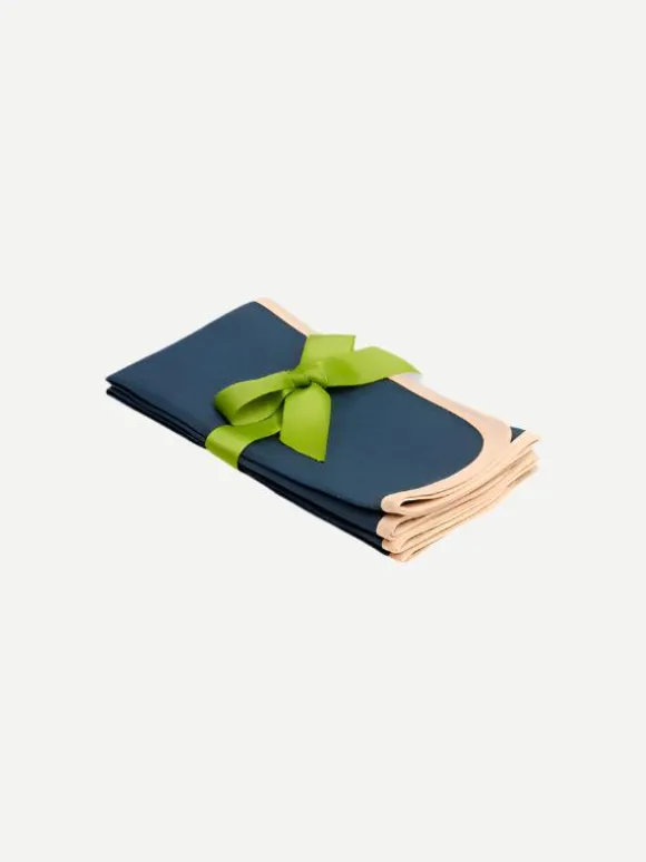 Napkins set of 2 in Rainbow Navy